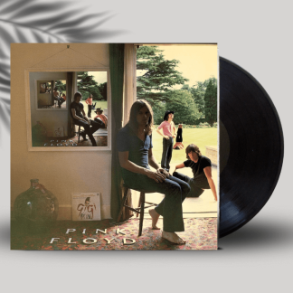 “Okładka płyty winylowej artysty Pink Floyd o tytule Ummagumma