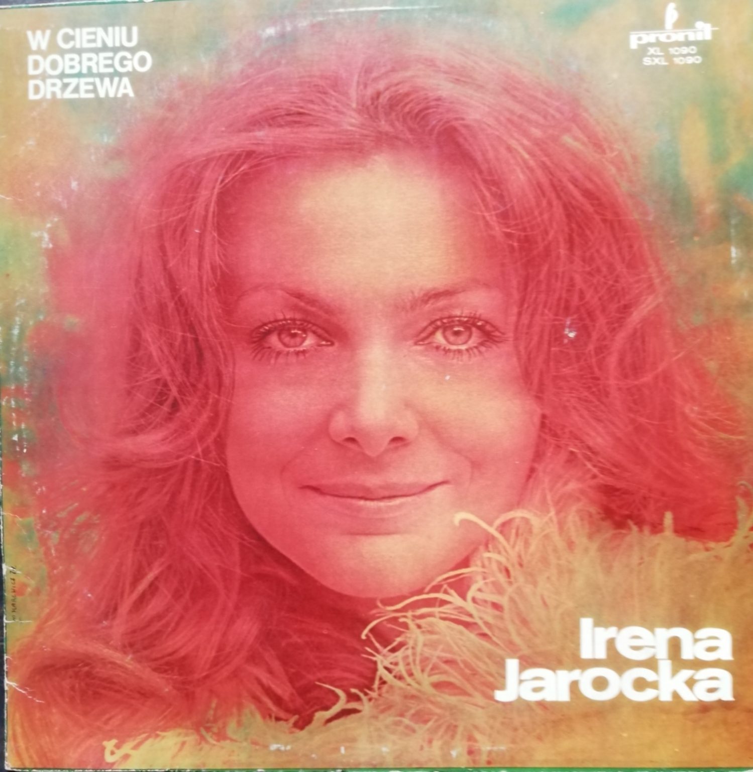 Irena Jarocka – W cieniu dobrego drzewa