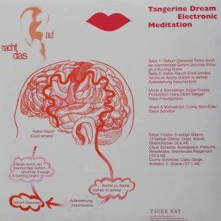 Okładka płyty winylowej artysty Tangerine Dream o tytule Electronic Meditation
