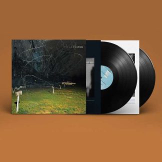 Okładka płyty winylowej artysty Yo La Tengo o tytule This Stupid World