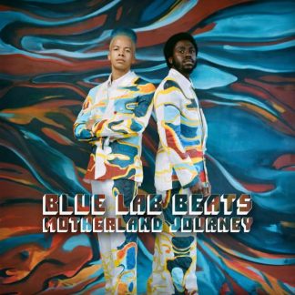 Okładka płyty winylowej artysty Blue Lab Beats o tytule Motherland Journey