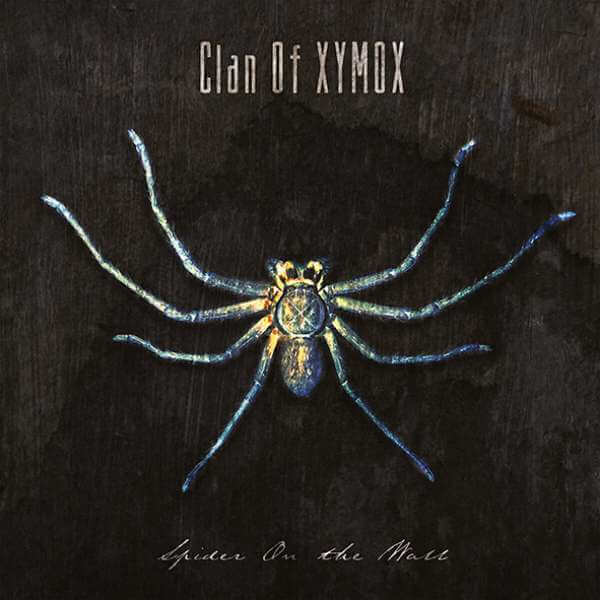 Okładka płyty winylowej artysty Xymox o tytule Spider On The Wall