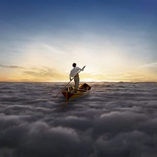 Okładka płyty winylowej artysty Pink Floyd o tytule The Endless River