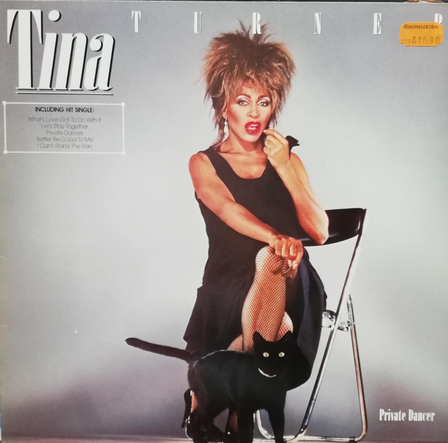 Okładka płyty winylowej artysty artysty Tina Turner o tytule Private Dancer