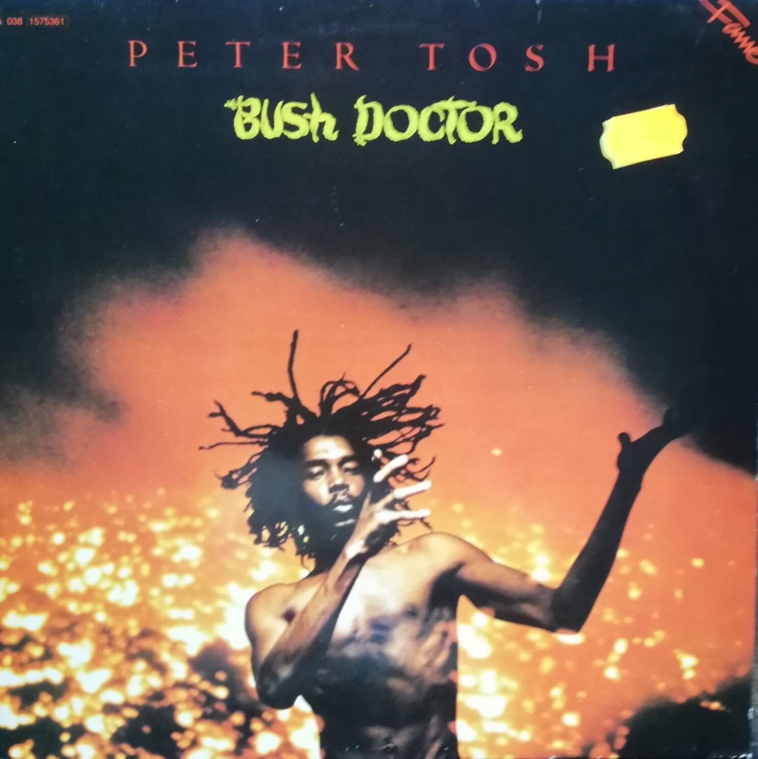 Okładka płyty winylowej artysty artysty Peter Tosh o tytule Bush Doctor
