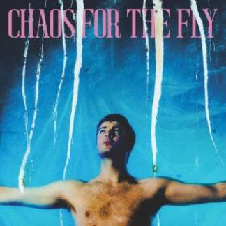 Okładka płyty CD artysty Grian Chatten o tytule Chaos For The Fly