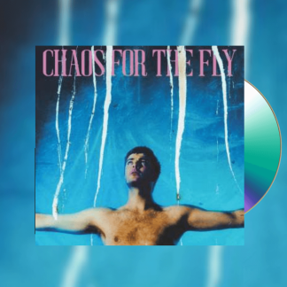 Okładka płyty CD artysty Grian Chatten o tytule Chaos For The Fly