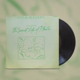 Okładka płyty winylowej artysty Stevie Wonder o tytule Stevie Wonder’s Journey Through The Secret Life Of Plants