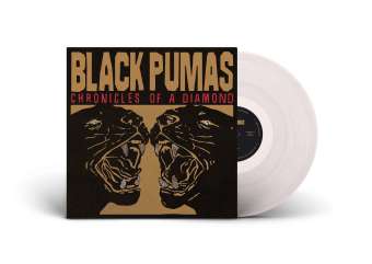 Okładka płyty winylowej artysty Black Pumas o tytule Chronicles of a Diamond