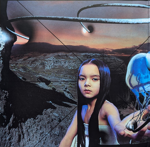 Okładka płyty winylowej wykonawcy The Futrur Sound of London o tytule Lifeforms