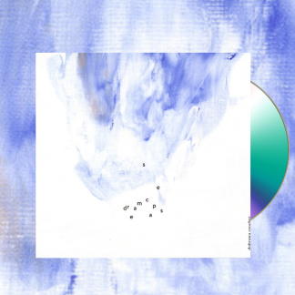 Okładka płyty CD wykonawcy Dobrawa Czocher o tytule Dreamscapes