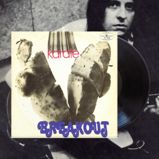 Okładka płyty winylowej wykonawcy Okładka płyty winylowej wykonawcy Breakout o tytule Karate