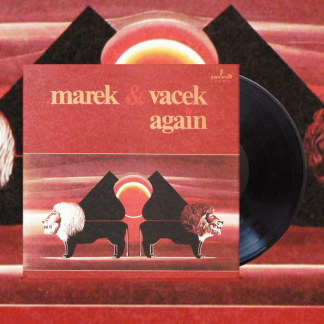 Okładka płyty winylowej wykonawcy Marek & Wacek o tytule Again