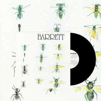 Okładka płyty winylowej wykonawcy Syd Barrett o tytule Barrett